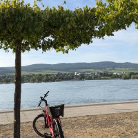 Radlerrast am Ingelheimer Sommergarten