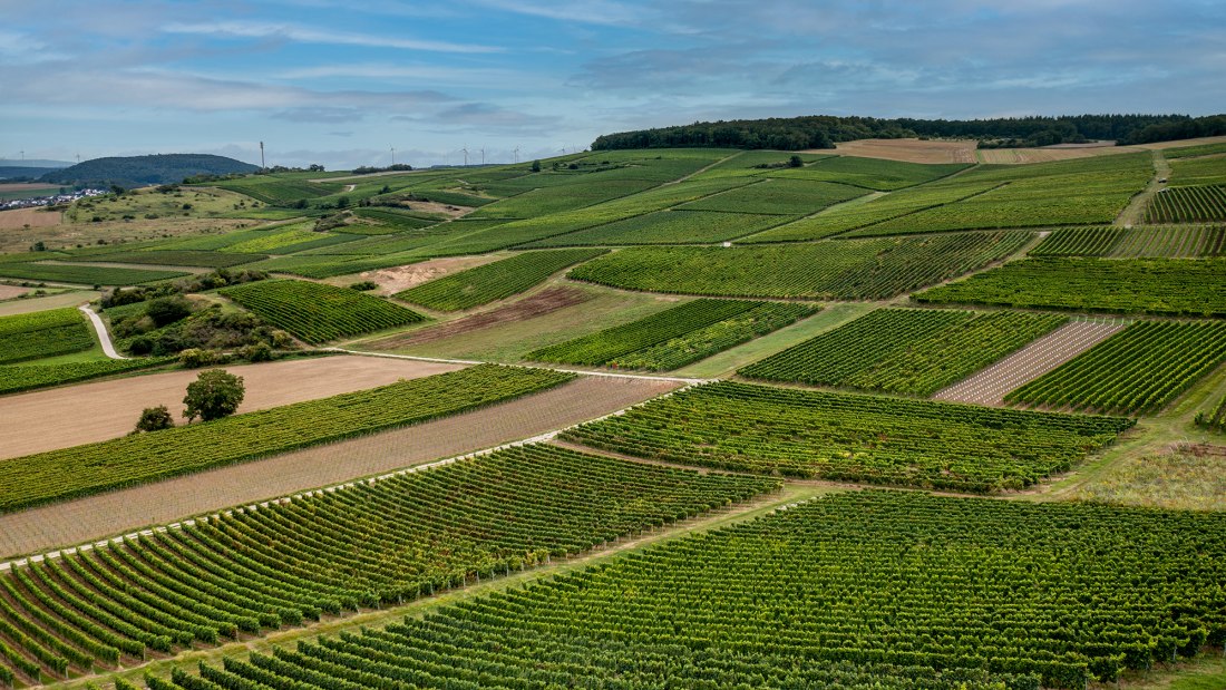 Frei-Laubersheimer Fels