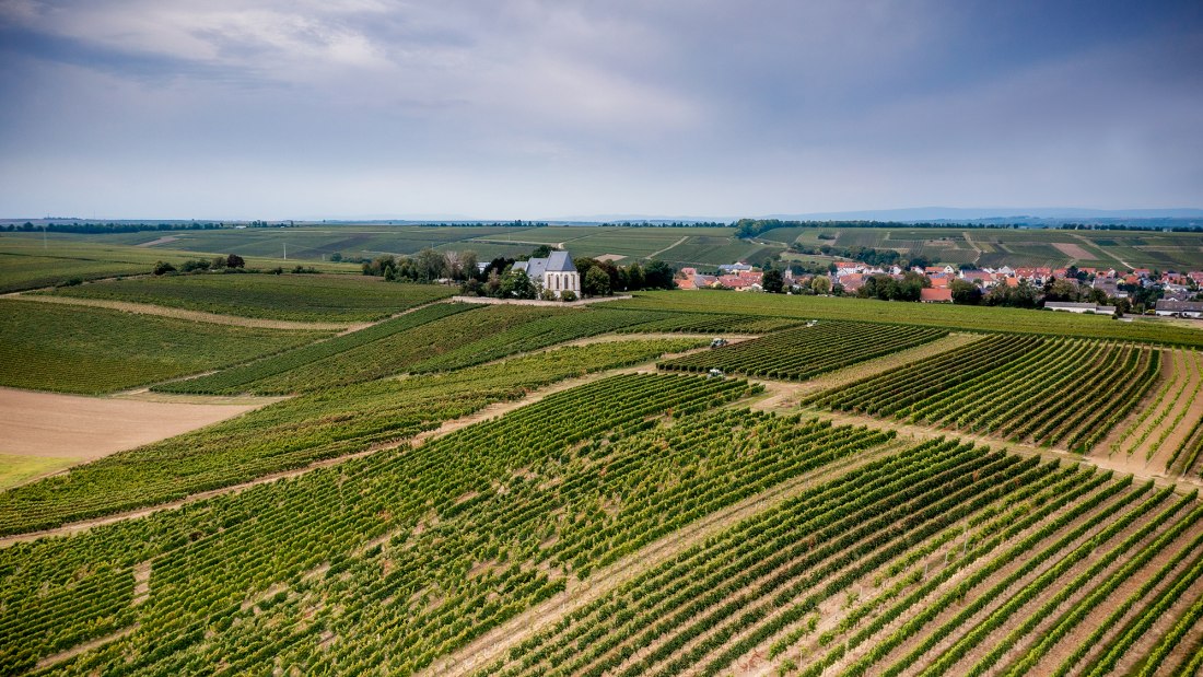 Udenheimer Kirchberg