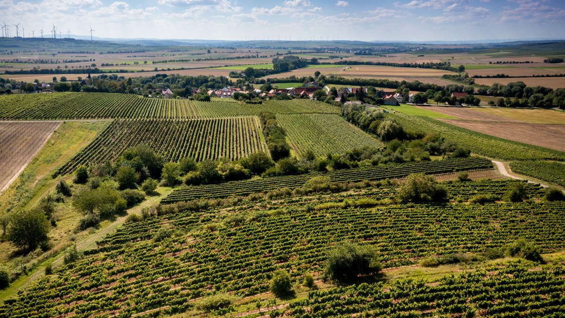 Hillesheimer Altenberg