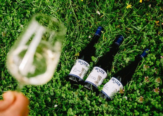 Weinprobiertage &copy; Weingut Huster