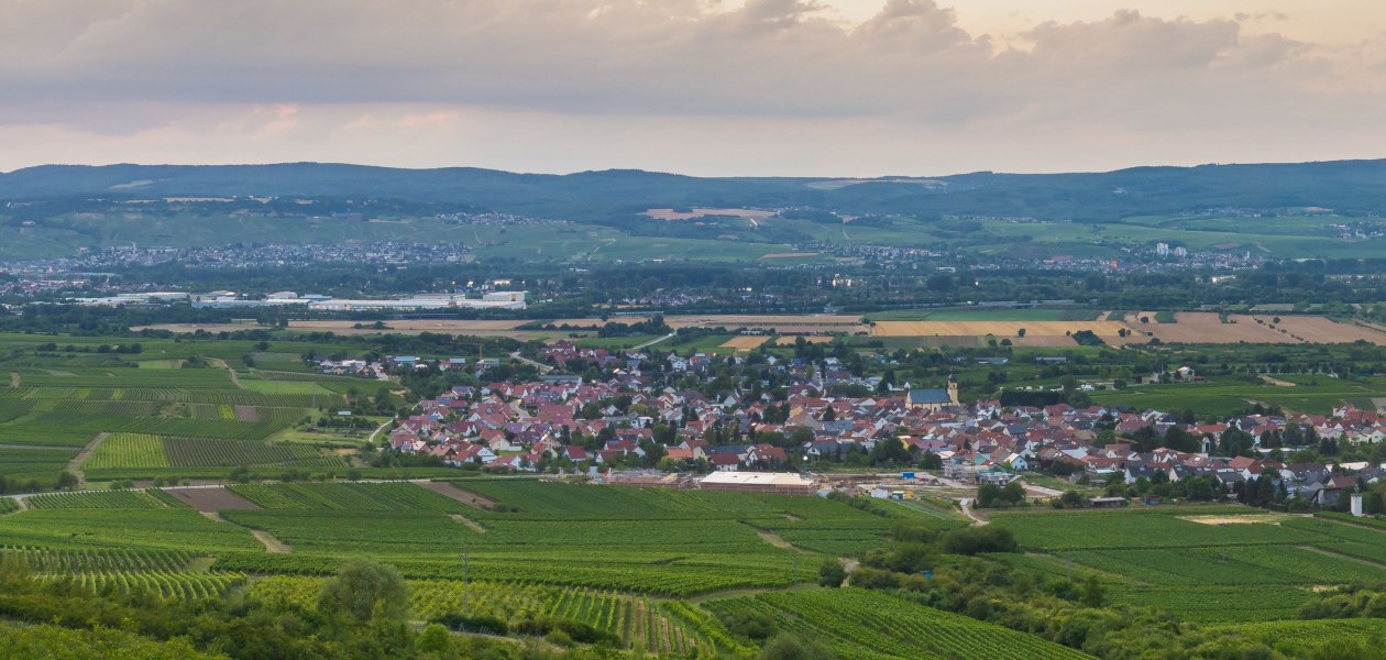 &copy; FamilienWeinGut Feser