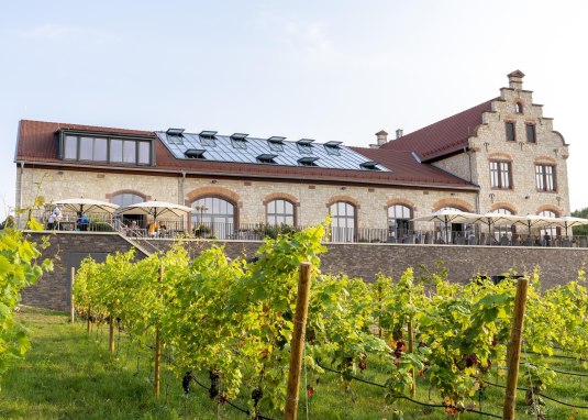 Winzerkeller &copy; Andrea Enderlin