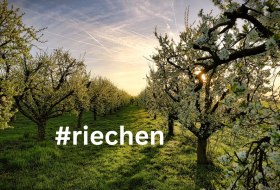 Fr&uuml;hlingsbild &copy; Rainer Oppenheimer/Stadt Ingelheim