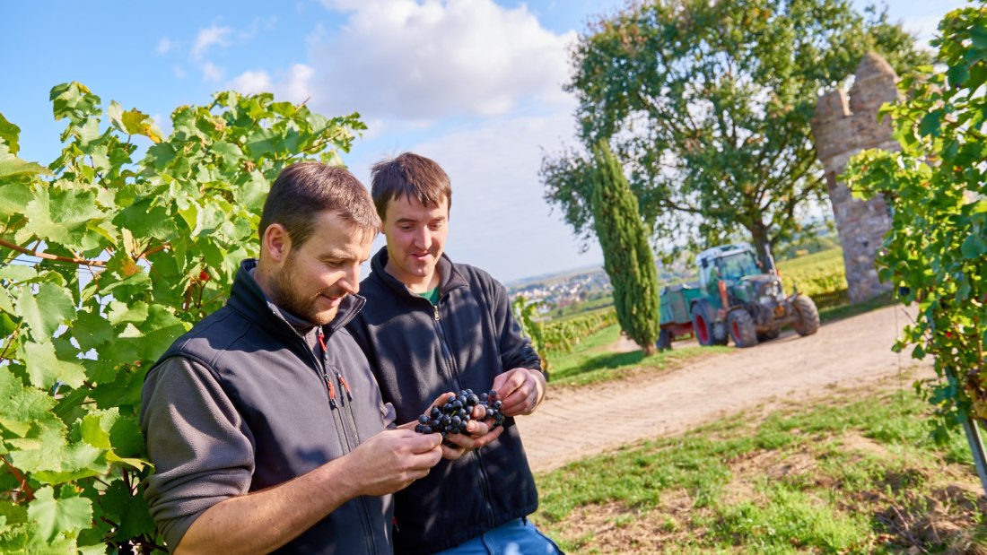 Weingut Geil_Winzer, &copy; Weingut Geil