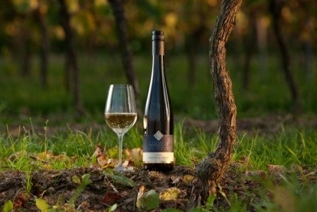 Weingut Zimmer-Mengel_Weinflasche, &copy; Weingut Zimmer-Mengel