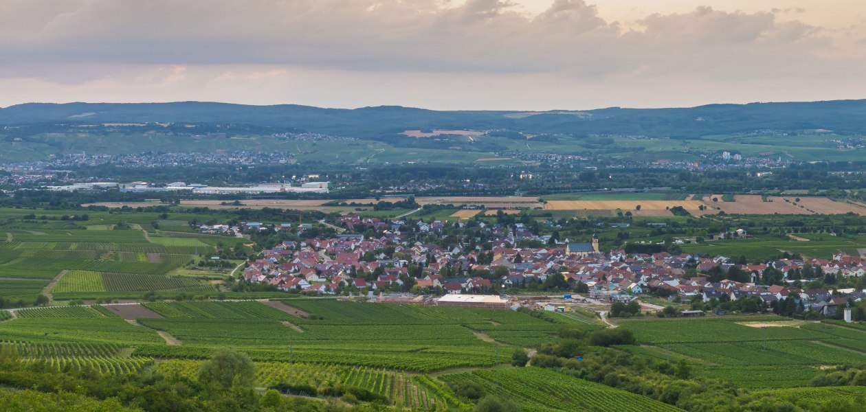 FamilienWeinGut Feser_Jakobsberg, &copy; FamilienWeinGut Feser