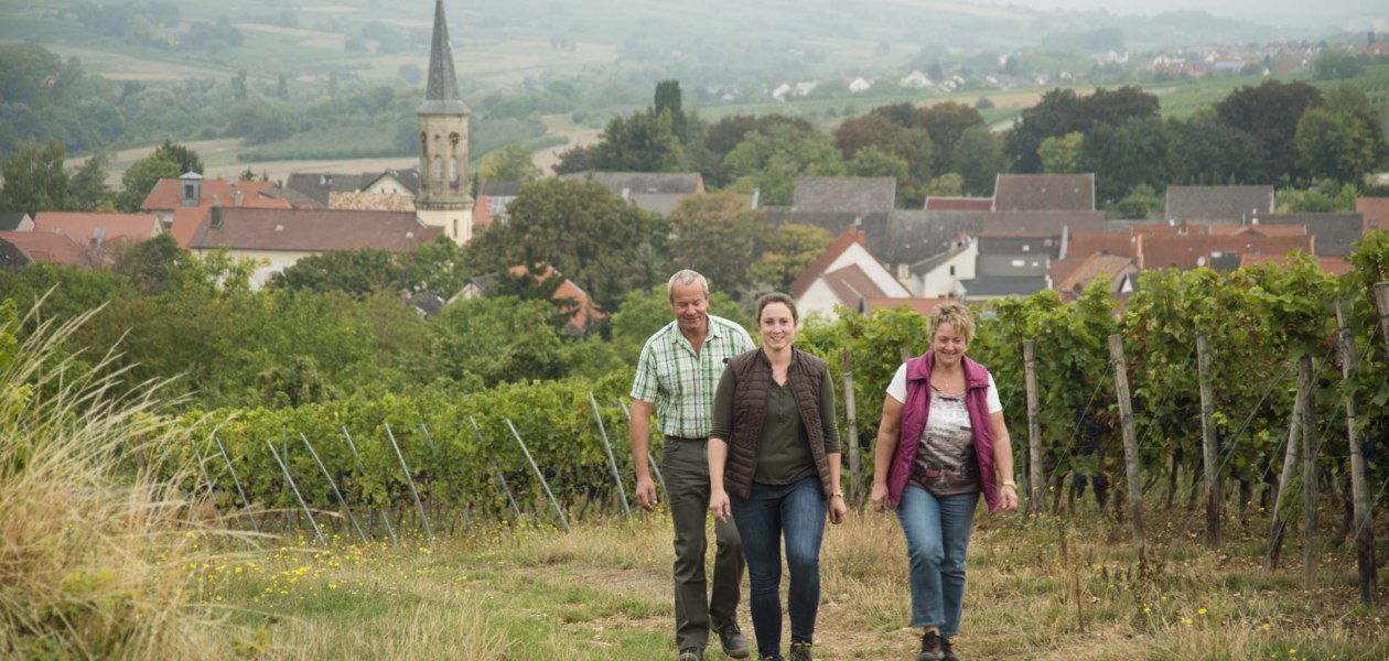 schuck-1, &copy; Weingut Schuck Sonnenhof