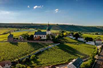 Niersteiner Gl&ouml;ck