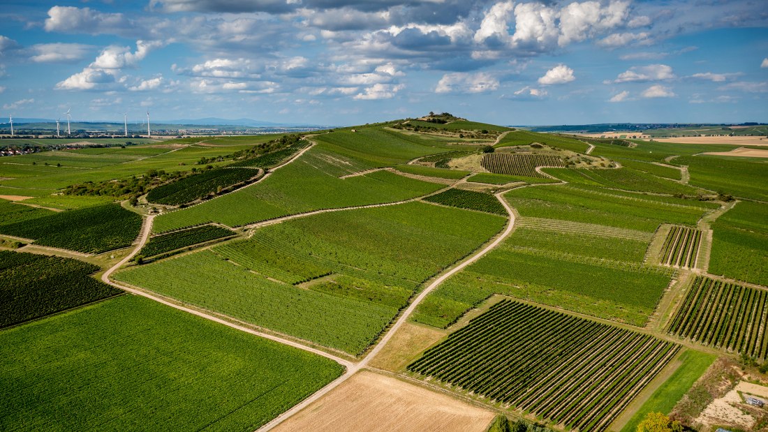 Gau-Odernheimer Herrgottspfad