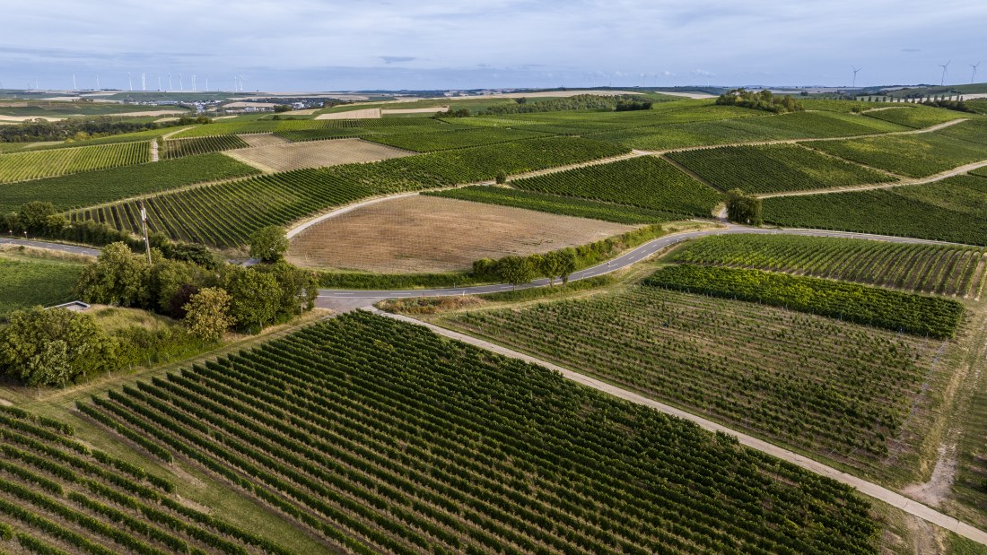 Bermersheimer Hildegardisberg