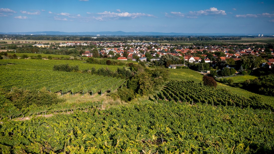 Alsheimer Frühmesse