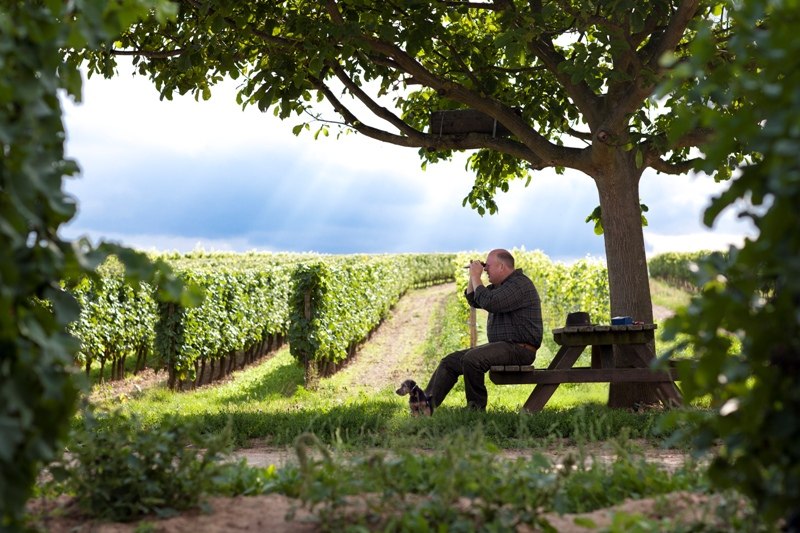 emrich_fred1, &copy; Weingut Fred Emrich