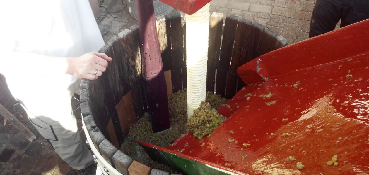 Weingut Tobias Hahn_Presse, &copy; Weingut Tobias Hahn