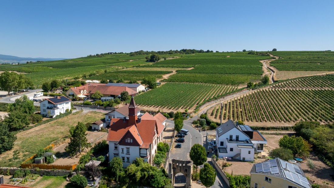 Ingelheimer Burgberg-064 Kopie, &copy; Torsten Silz