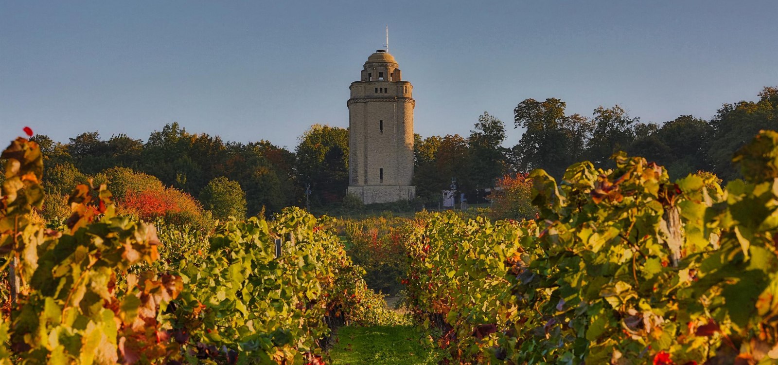 Bismarckturm mit Blick von den Weinbergen, © Rainer Oppenheimer/Stadt Ingelheim
