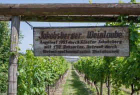 Weinlaube Schild