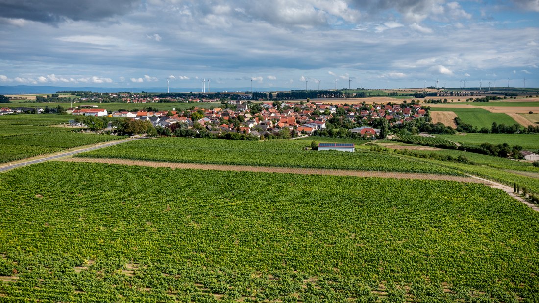 Weinolsheimer Kehr