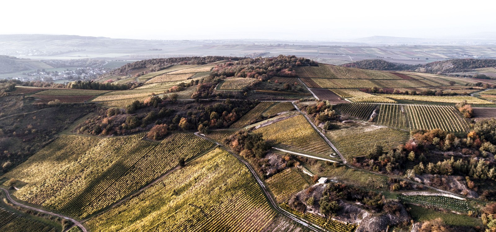 WagnerStempel_Landschaft_Horn_03