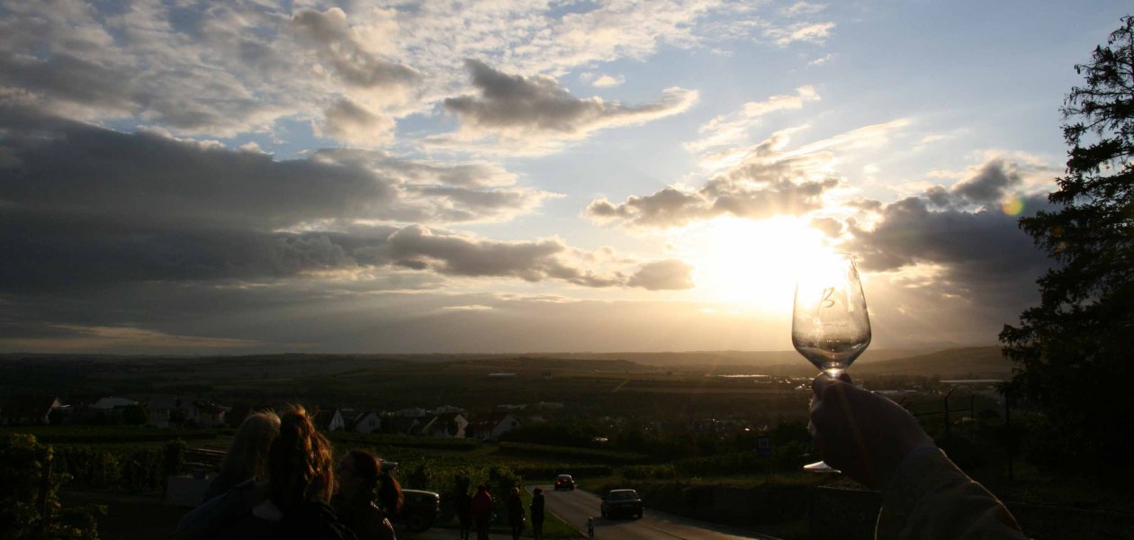 Weingut-Becker_NO_13 Internet, &copy; Weingut Becker