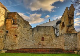 Rainer Oppenheimer - IkUM GmbH