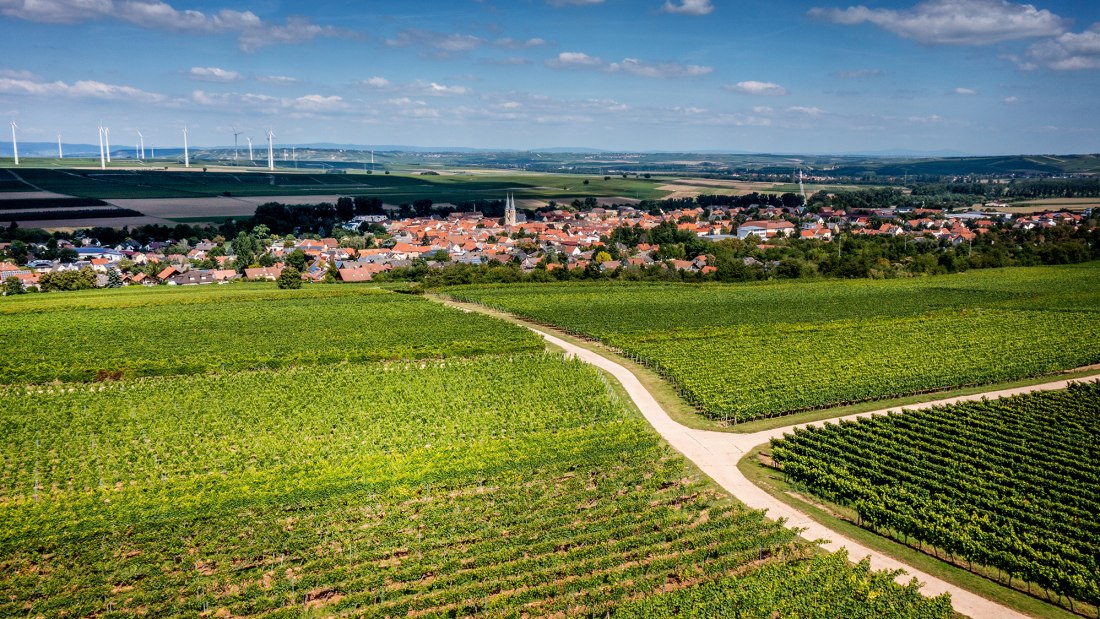 Flonheimer Rotenpfad, © Rheinhessenwein e.V./Torsten Silz