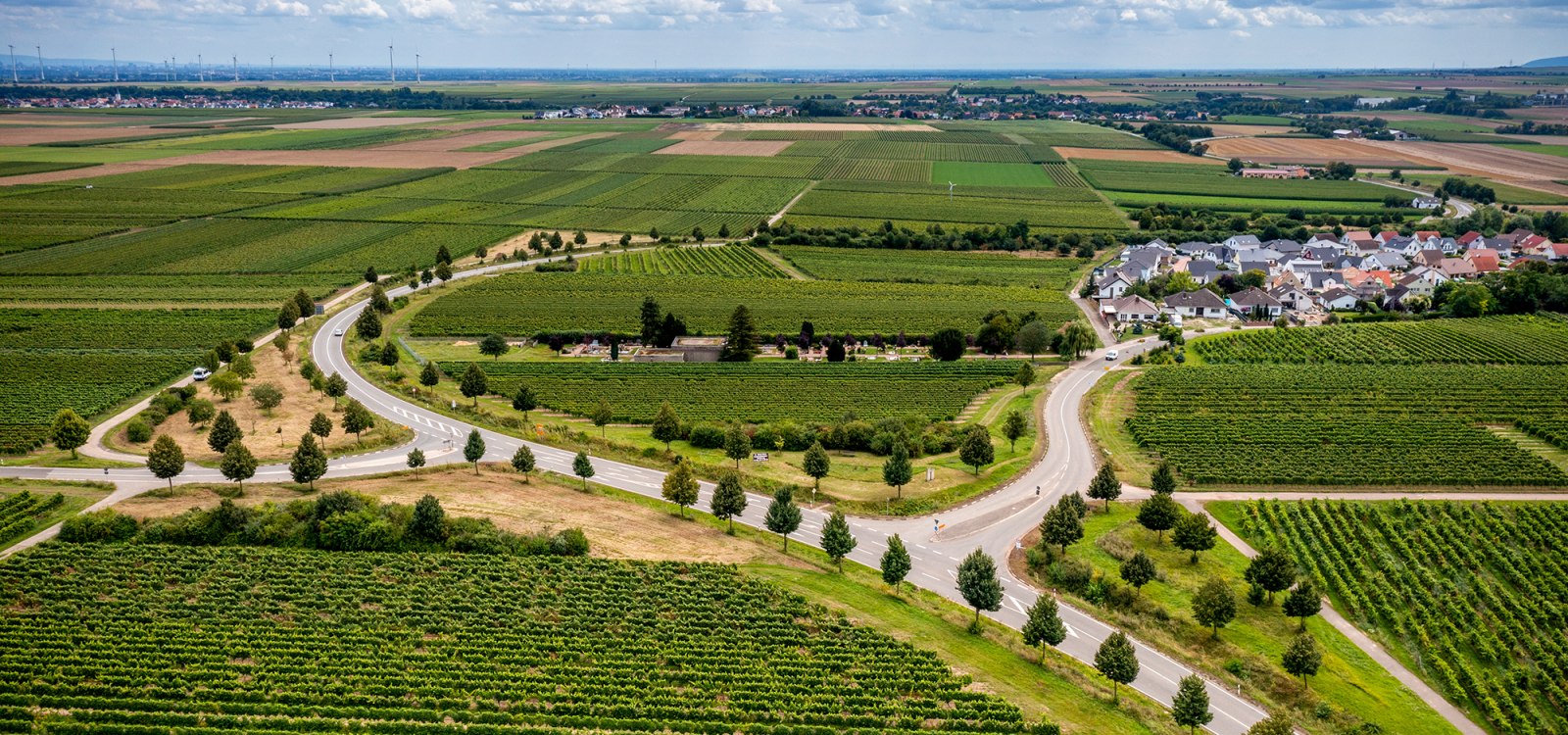 Hohen-Sülzener Kirchenstück