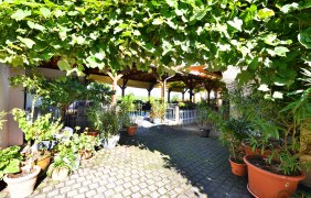 Weinlaube © Weingut Lich