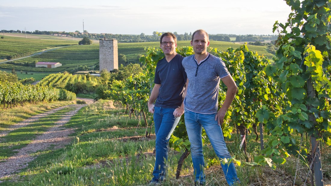 &copy; Weingut Georg Gustav Huff