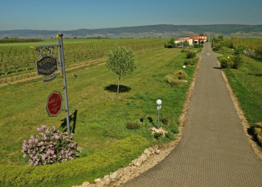 Reisemobilstellpaltz Weingut Menk &copy; Weingut Menk