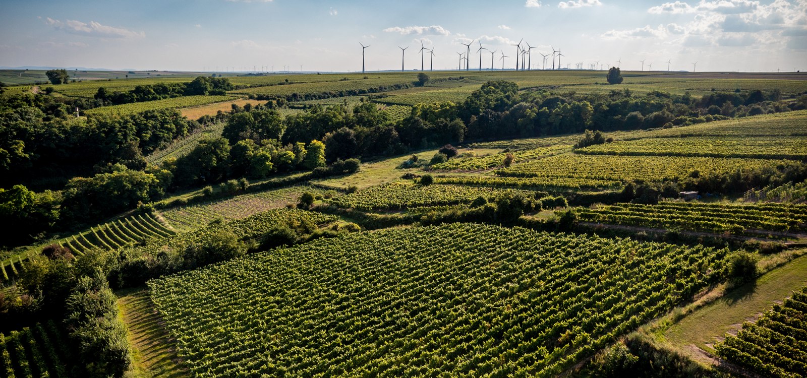 Alsheimer Frühmesse