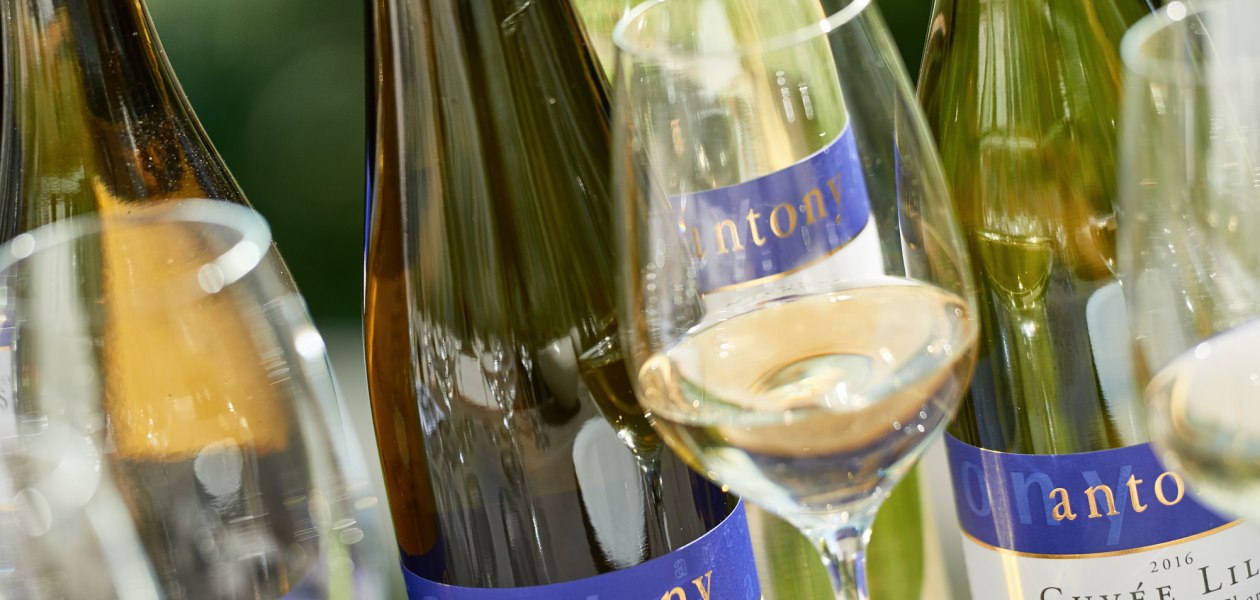 &copy; Weingut Antony