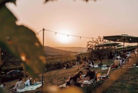 Weingut Singer-Fischer_Wiese &copy; Max Singer-Fischer