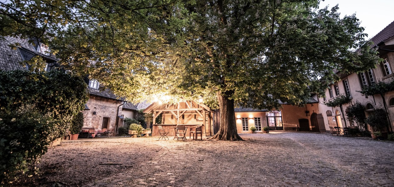 WagnerStempel_HOF_Kastanie_05b