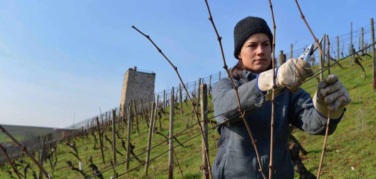 &copy; Weingut Fritz Ekkehard Huff