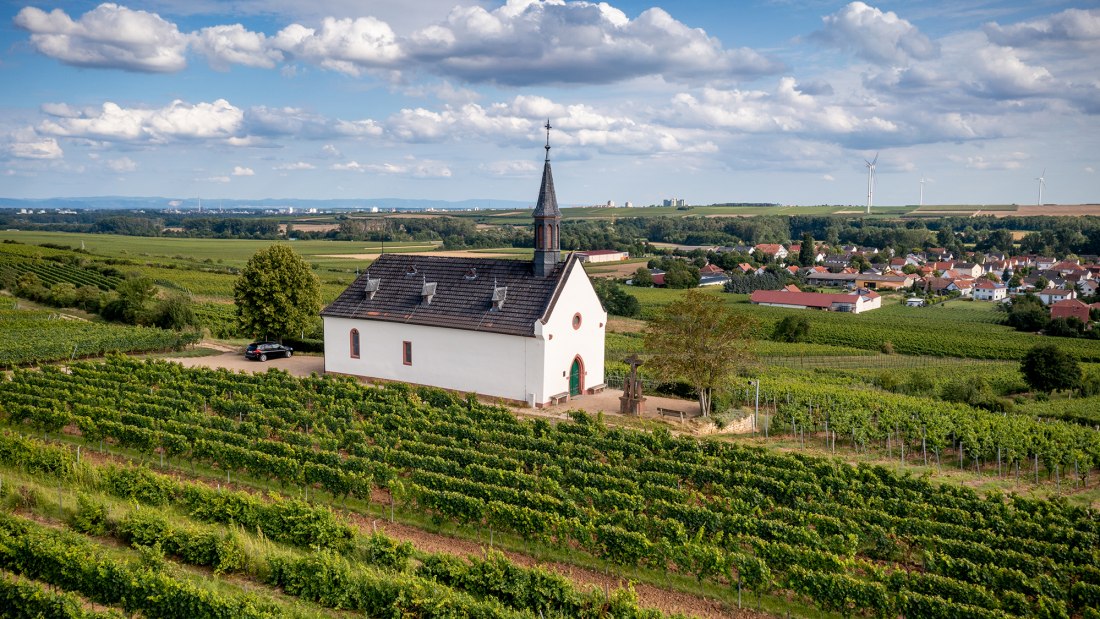 Abenheimer Klausenberg, © Torsten Silz