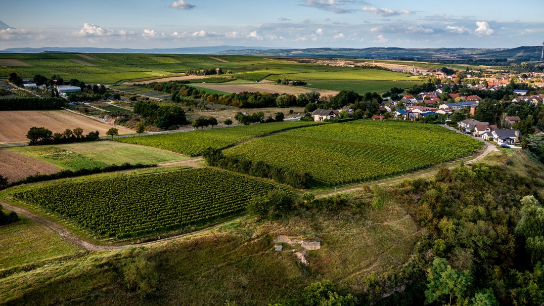 Wöllsteiner Äffchen