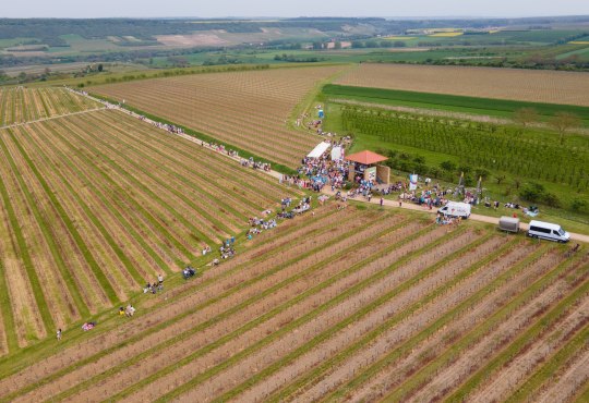 Weinlagenwanderung Johannisberger T&uuml;rmchen, &copy; VG Gau-Algesheim_Armin Kleisinger