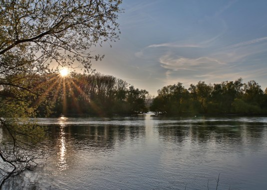 Inselrhein