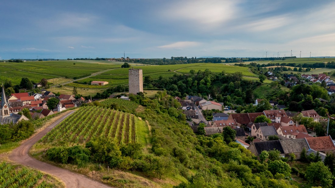Niersteiner Schlo&szlig; Schwabsburg