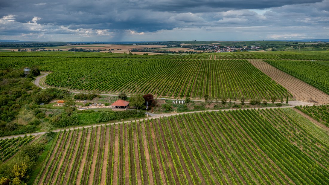 Weinolsheimer Kehr