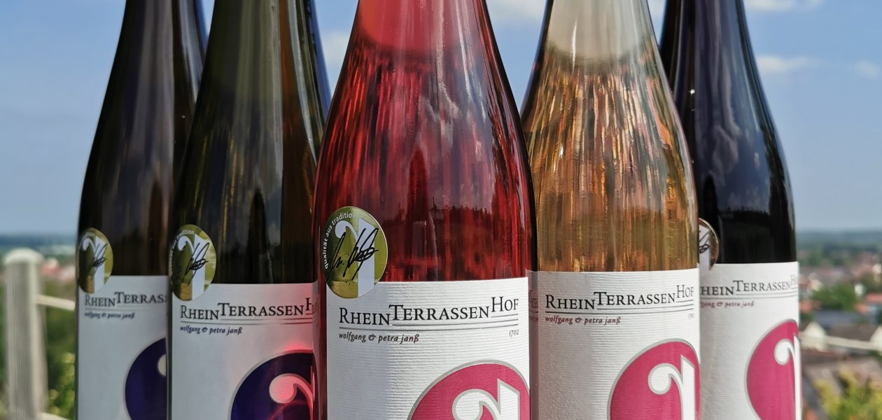 &copy; Weingut Rheinterrassenhof