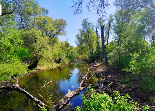 Rheinauen © Melanie_Ströder