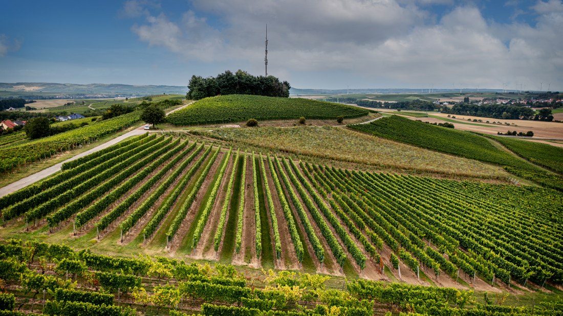 Frei-Laubersheimer Fels