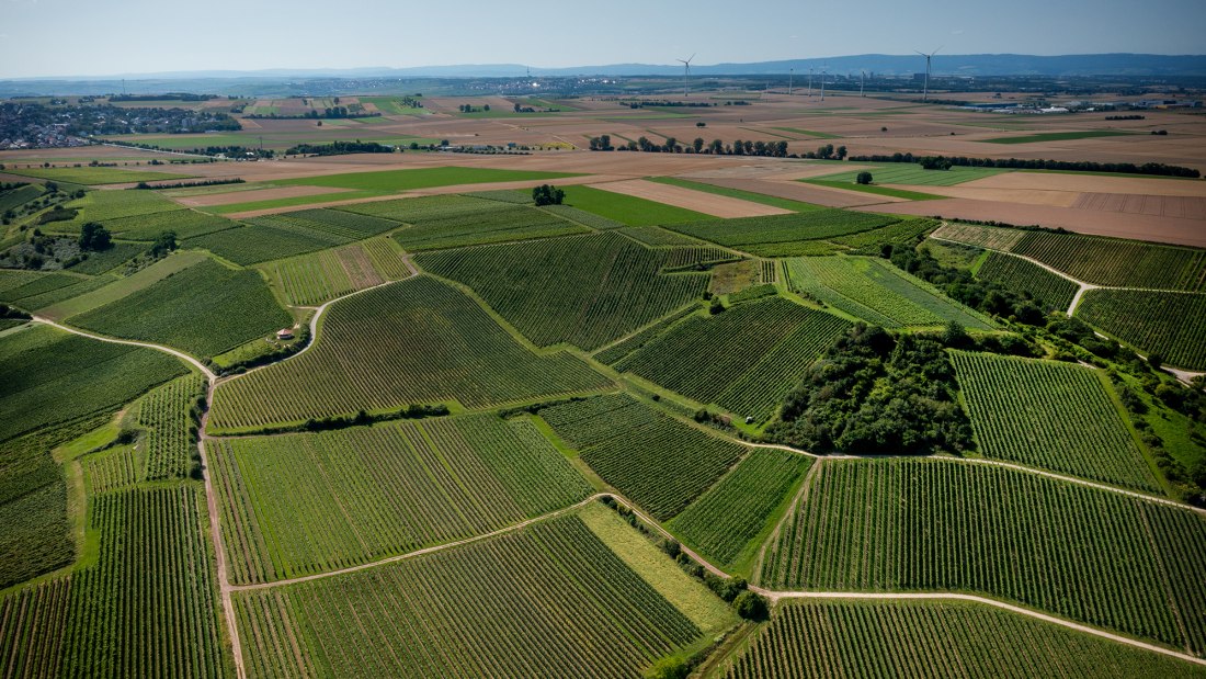 Gau-Bischofsheimer Glockenberg