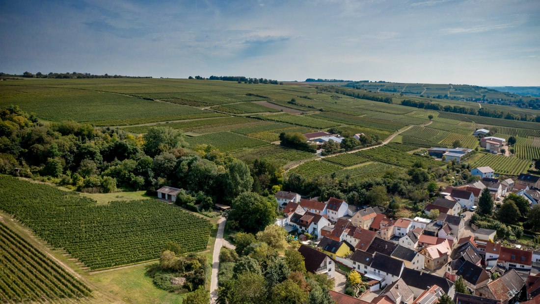 Gro&szlig;-Winternheimer Bockstein
