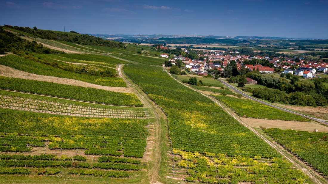 Jugenheimer Goldberg