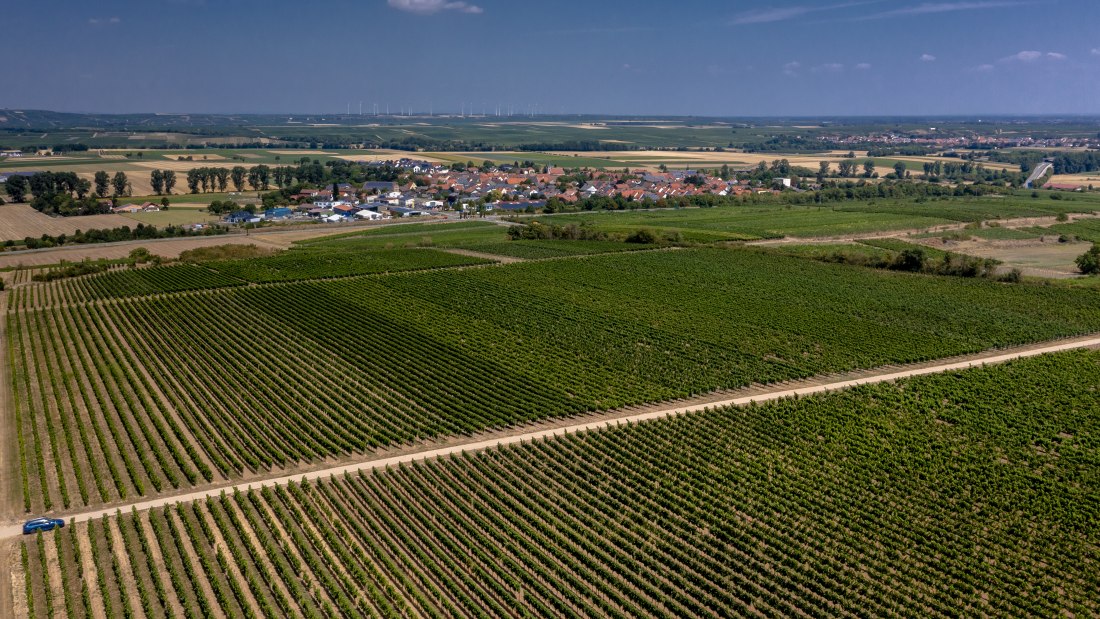 Mörstadter Nonnengarten