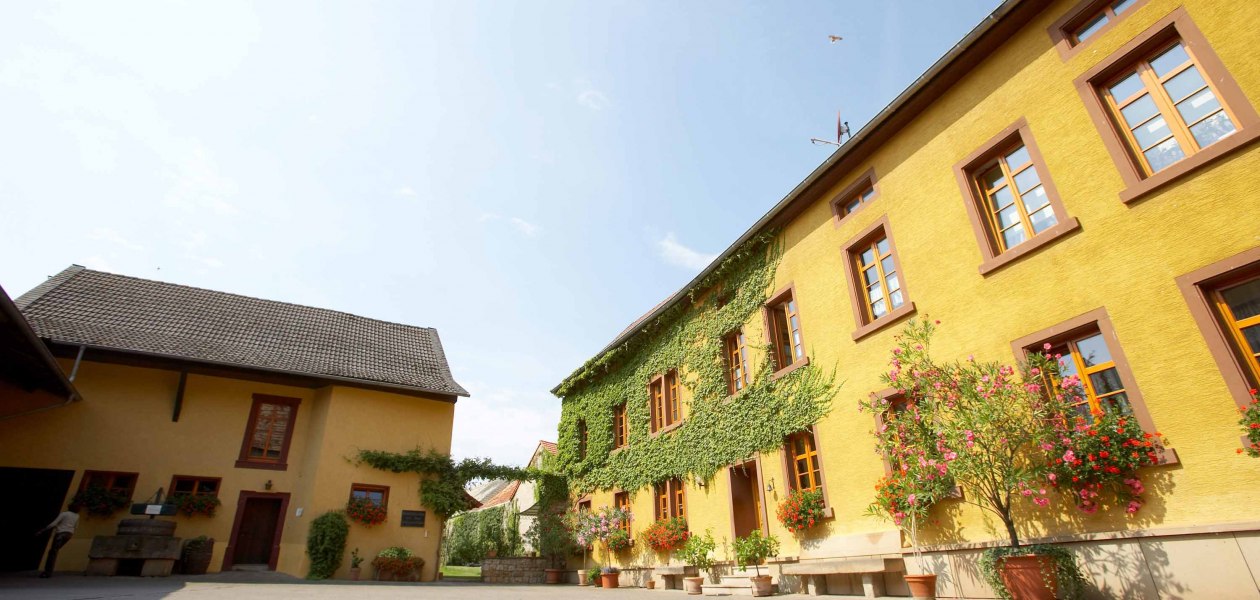 &copy; Weingut Julian Wolf