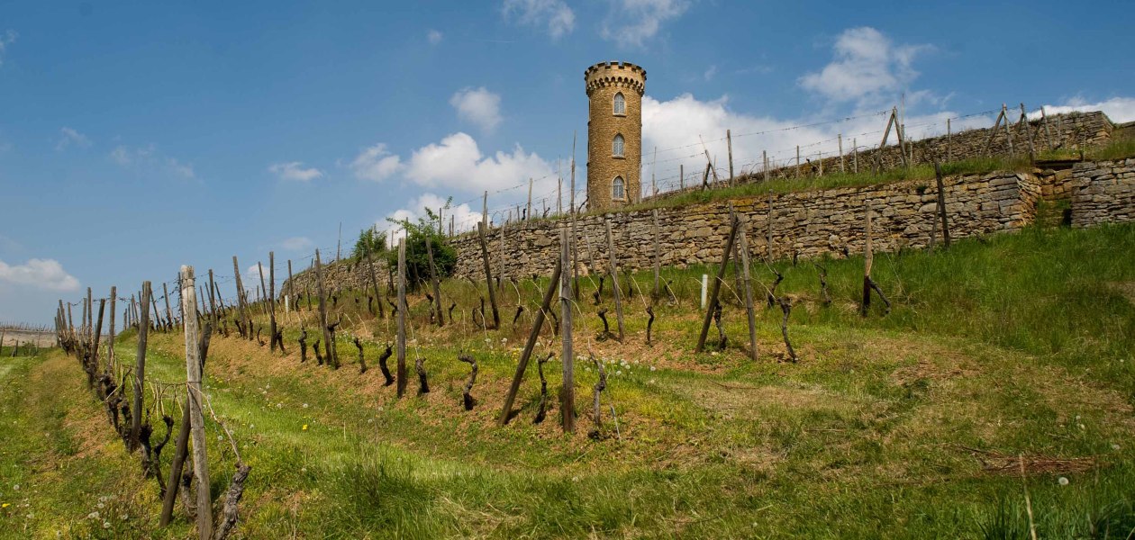 Weingut Heiligenblut_Turm 3, &copy; Weingut Heiligenblut